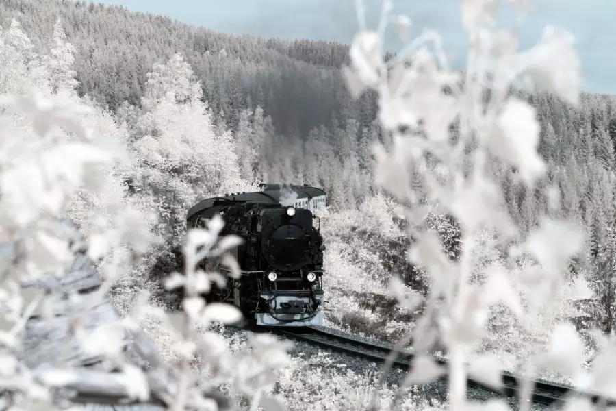 Wintermärchen Schmalspurbahn Harz entdecken