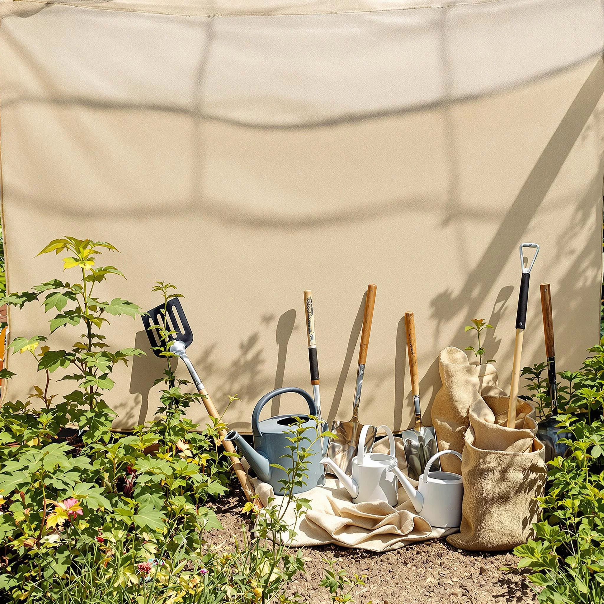 Was tun, wenn Pflanzen von der Sonne verbrennen? | florwerk Gartenmagazin