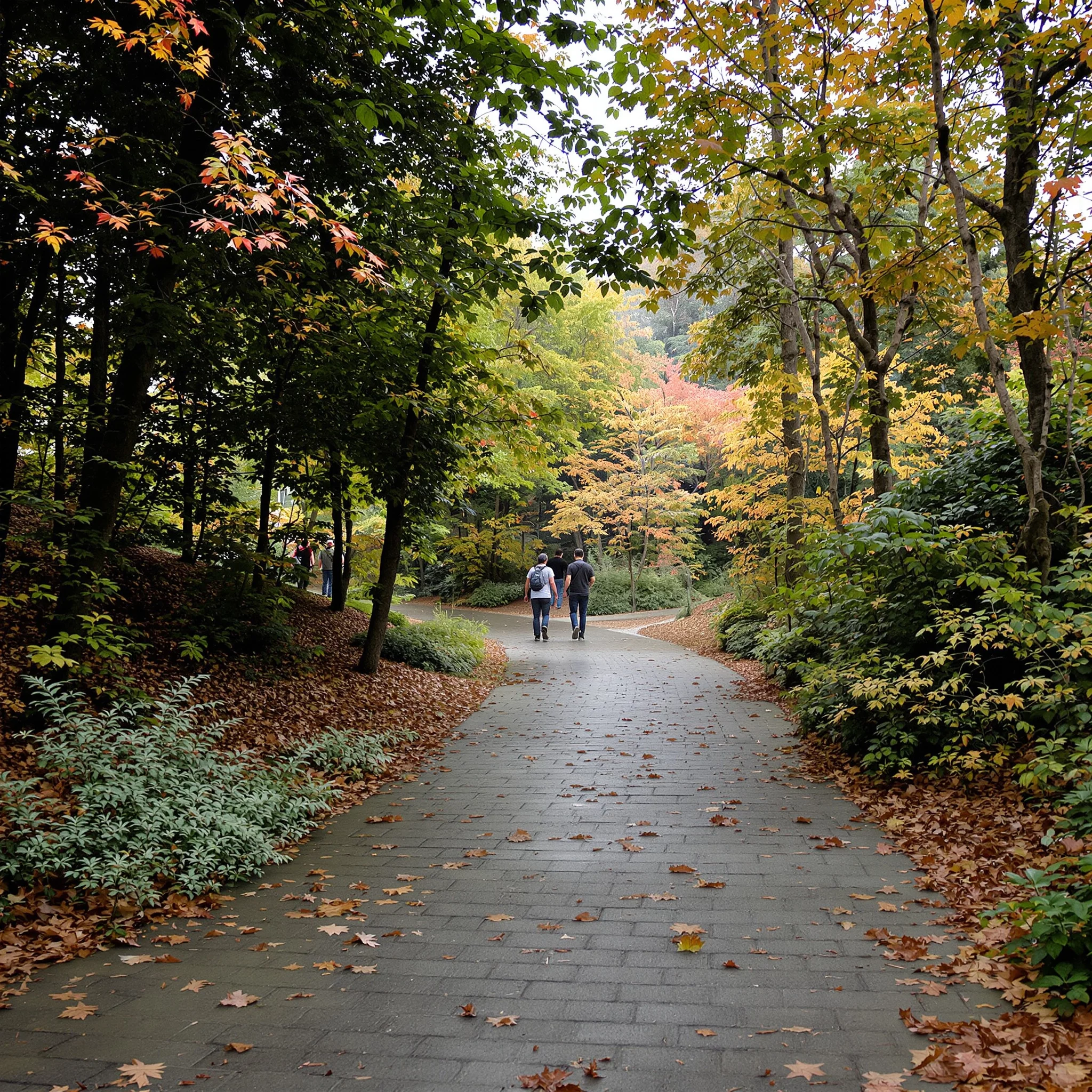 Der Mensch im Mittelpunkt – zwischen Algorithmus und Authentizität