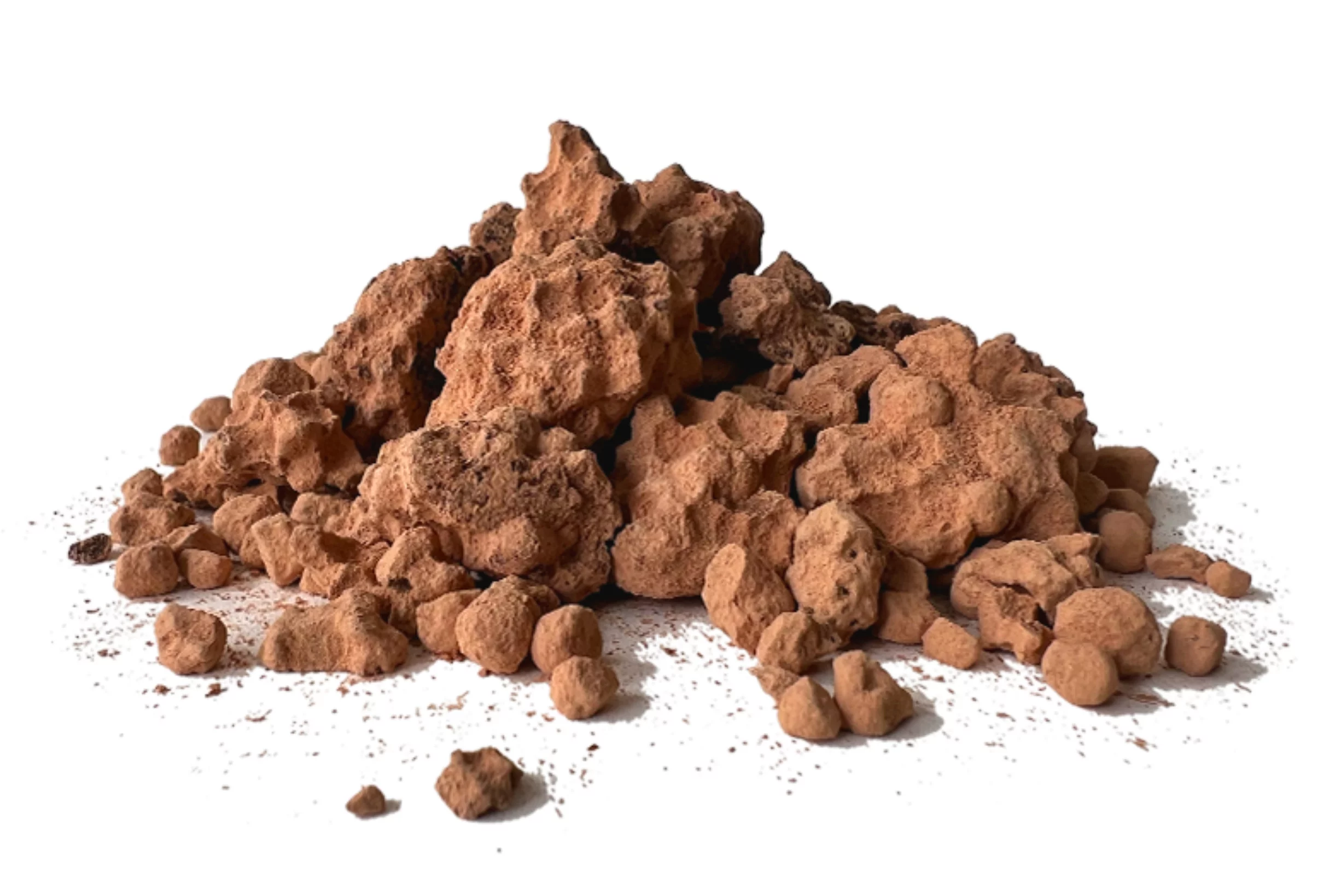 Kakao Bites von Juice Plus+: zartschmelzend und ursprünglich. Foto: Juice Plus+