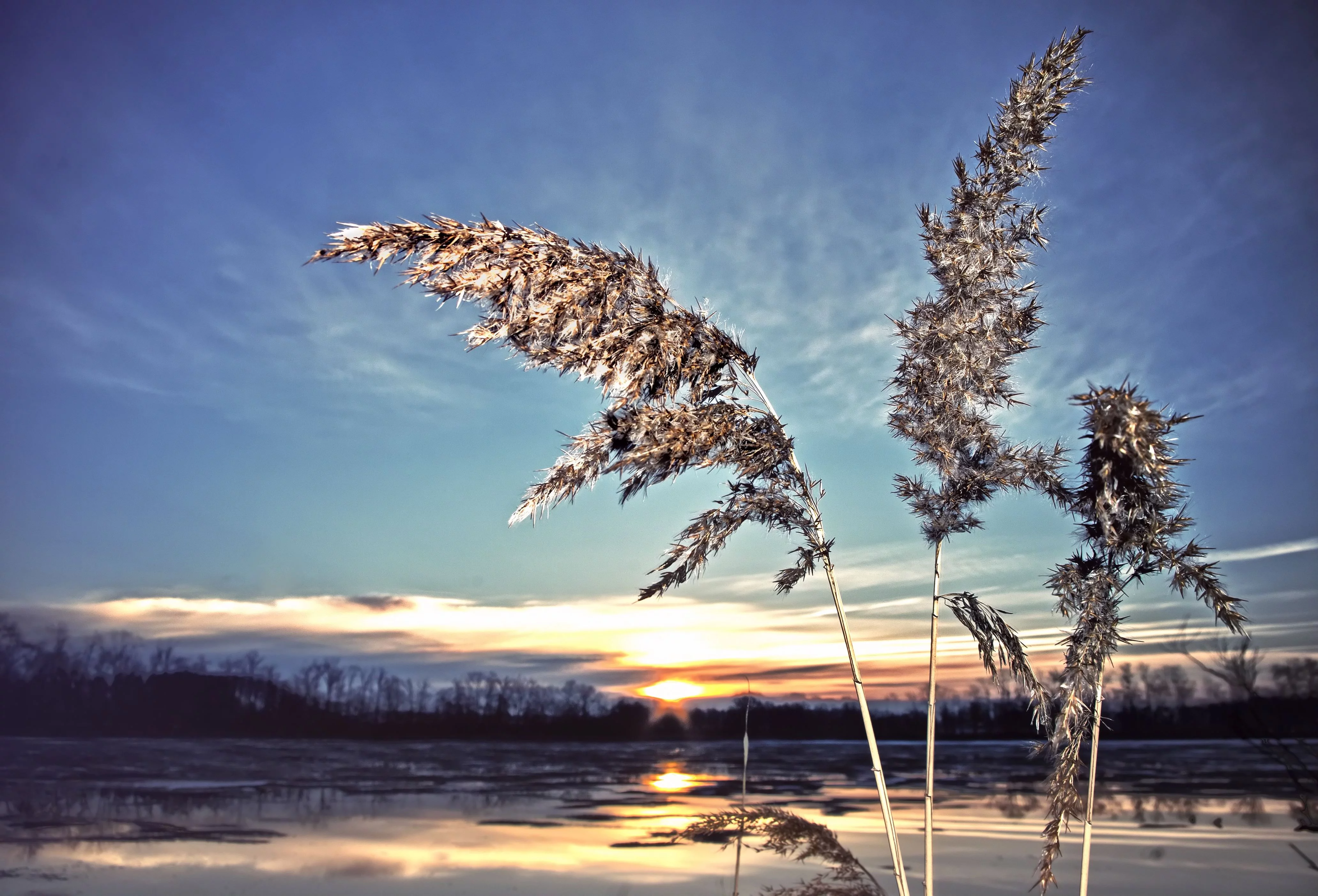 Kreativ Kochen mit Kraftzutaten – Genuss, der funktioniert