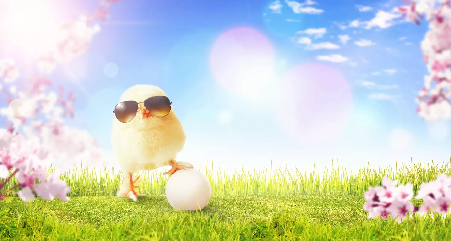 Last Minute Ostergeschenke, die Kinderherzen h&ouml;her schlagen lassen