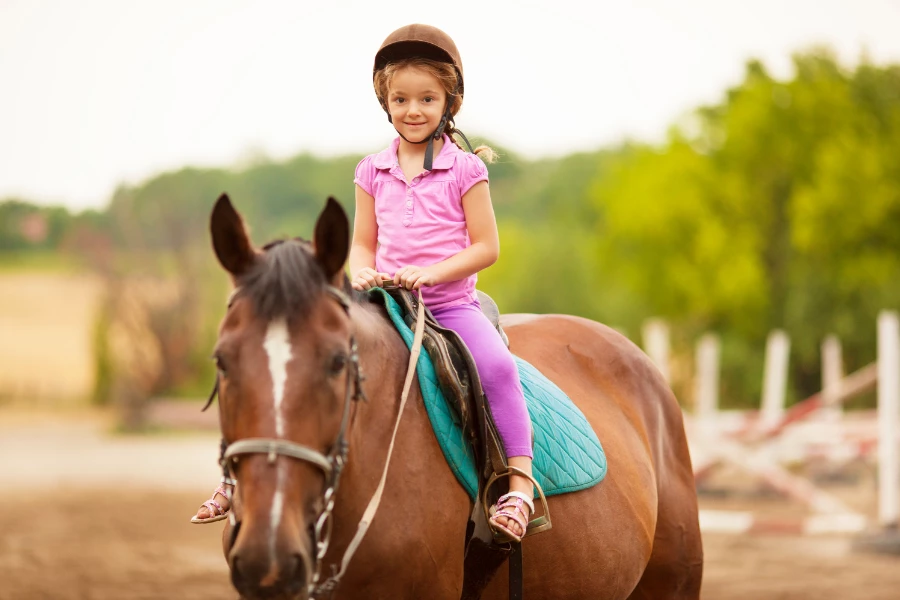 Pferdehöfe im Bergischen Land: Reiten, Ponys und Abenteuer
