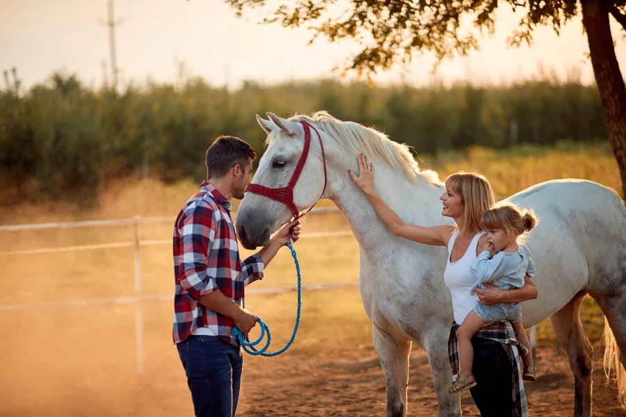 Pferdeh&ouml;fe im Bergischen Land: Reiten, Ponys und Abenteuer