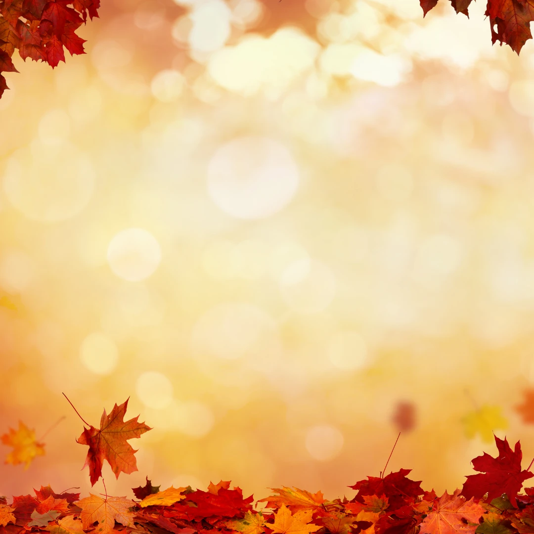 Herbstlaub in der Umgebung von Velbert: 11 Orte