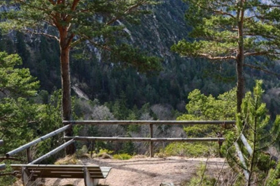 Wandertipp Dötzenkopf: Aussichtsreicher Rundweg & Stadtkanzel im Lattengebirge