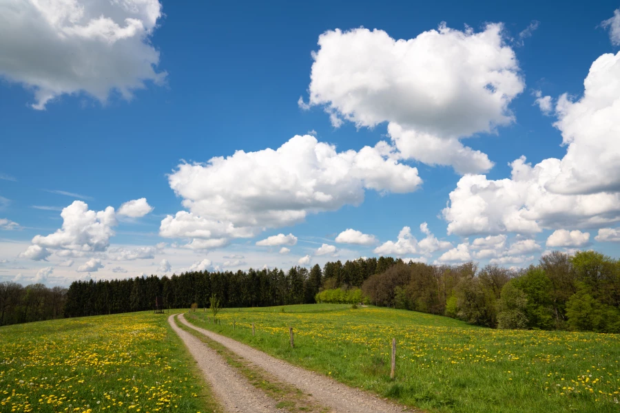 Wanderroute Bergisches Land: Siefen, Wälder und Höhen erleben