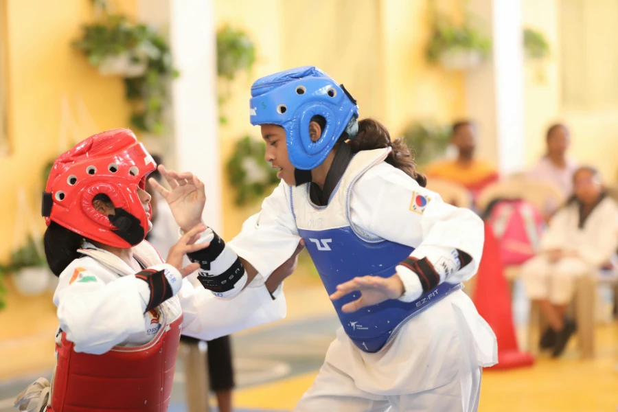Was ist Taekwondo? Kampfkunst, Tradition und Moderne