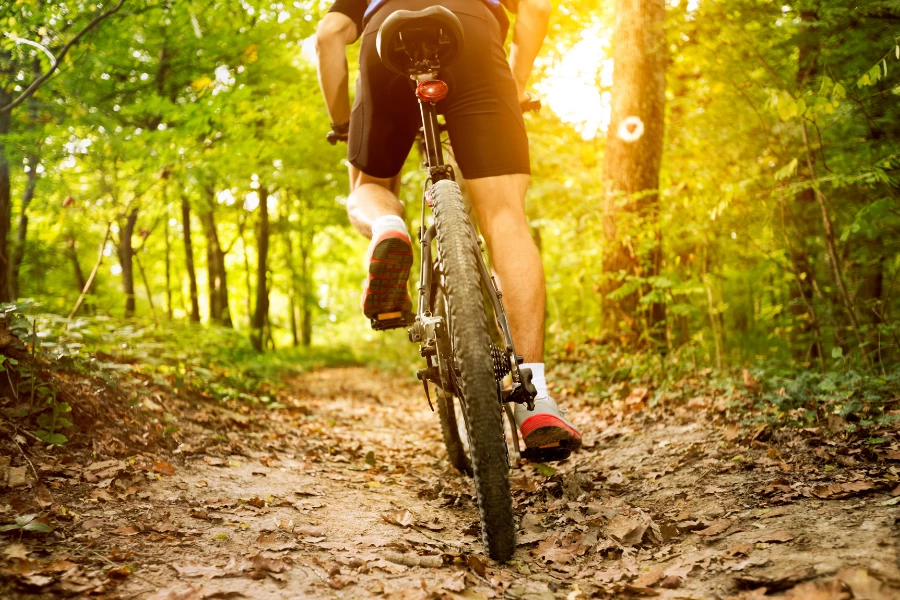 Radtouren im Bergischen Land – Genuss, Panorama und Sport