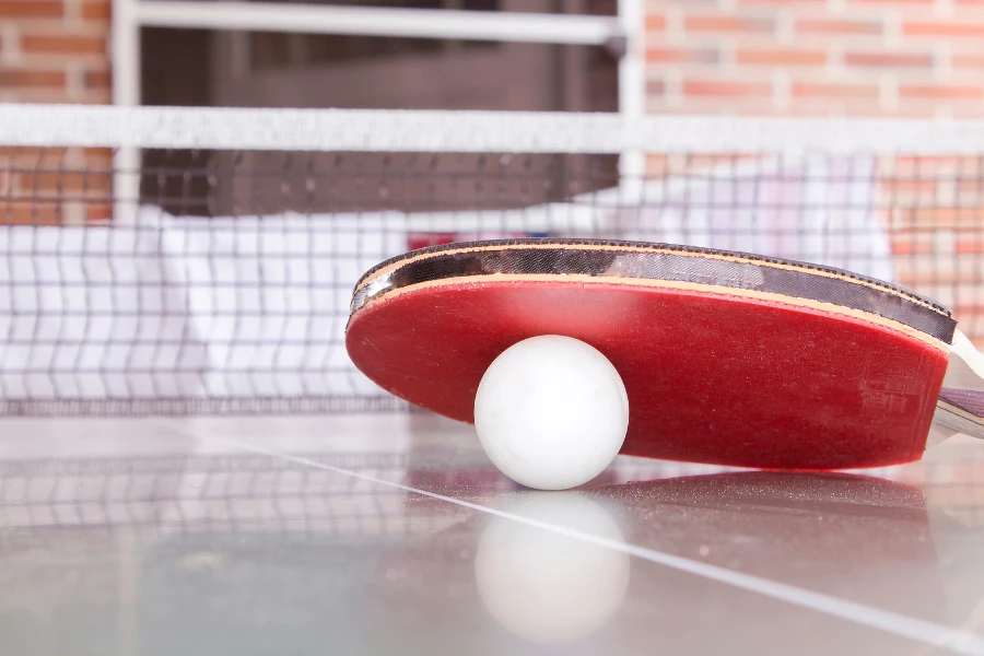 Tischtennis Grundlagen f&uuml;r Kinder, Erwachsene und Senioren