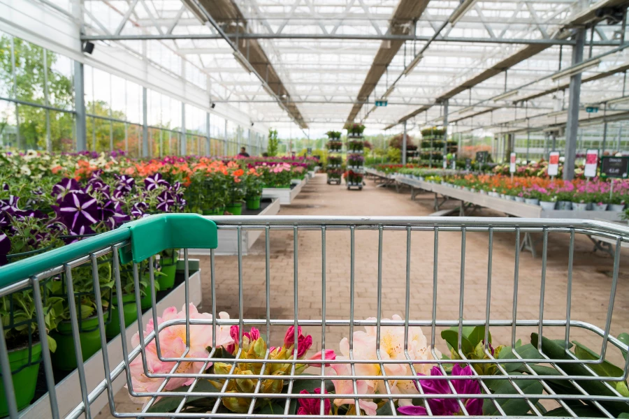 Gartencenter im Bergischen Land: Qualit&auml;t, Beratung, Vielfalt im Vergleich