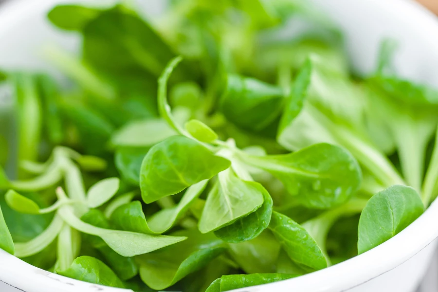 Warmen Kooenschloot: Bergisches Rezept für lauwarmen Feldsalat