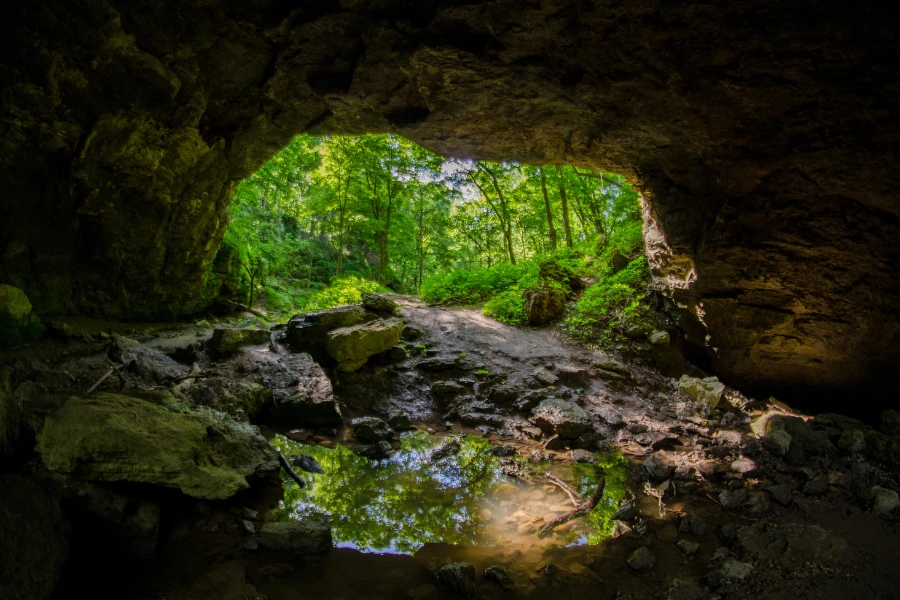 Aggertalhöhle Führungen: Faszinierendes Familienabenteuer im Berg