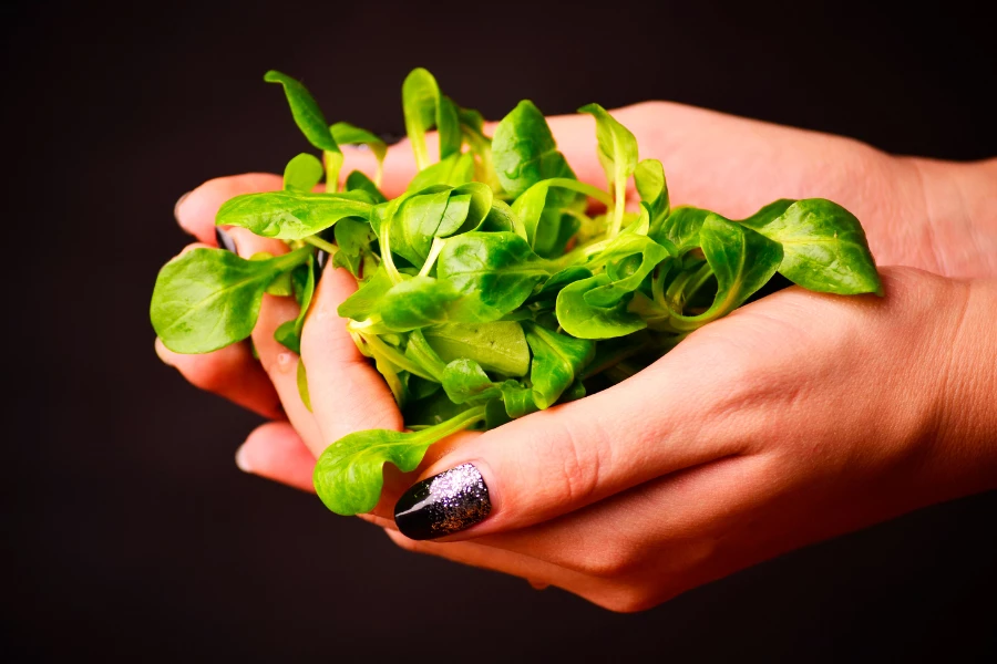Warmen Kooenschloot: Bergisches Rezept für lauwarmen Feldsalat