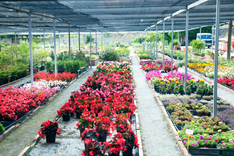 Großer Gartencenter-Check Bergisches Land: Qualität, Vielfalt, Beratung