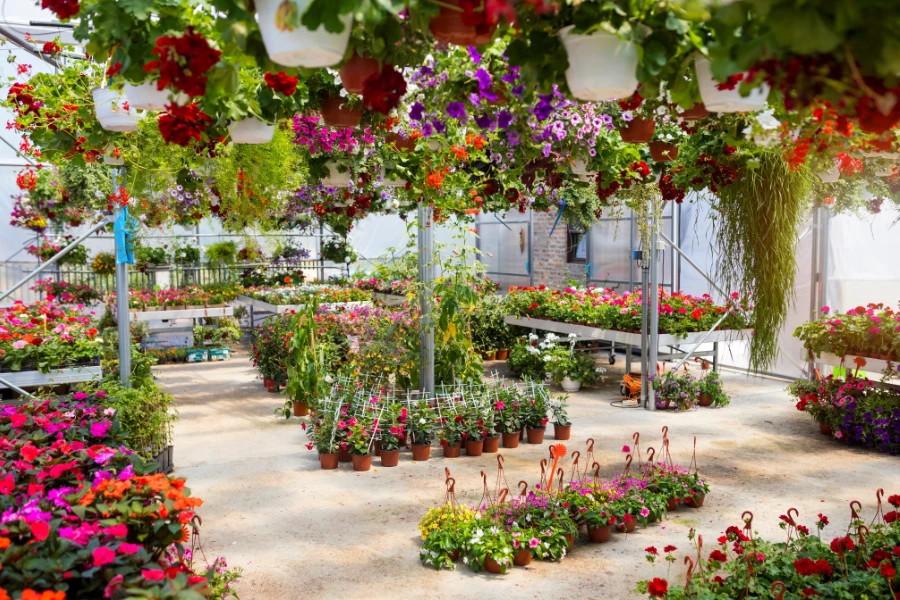Gartencenter im Bergischen Land: Qualität, Beratung, Vielfalt im Vergleich