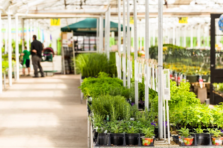 Gartencenter im Bergischen Land: Qualität, Beratung, Vielfalt im Vergleich