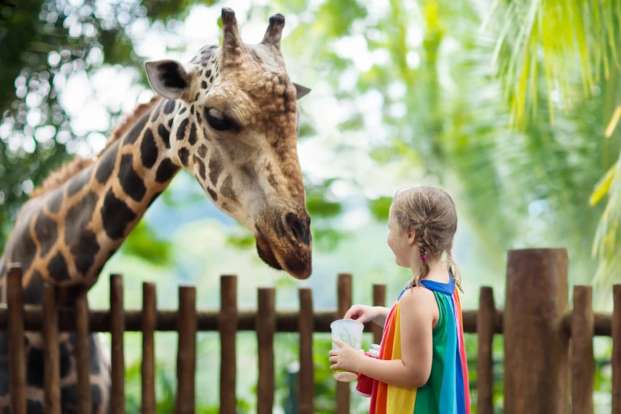Grüner Zoo Wuppertal: Erfahrungsbericht, Highlights & Kaufberatung