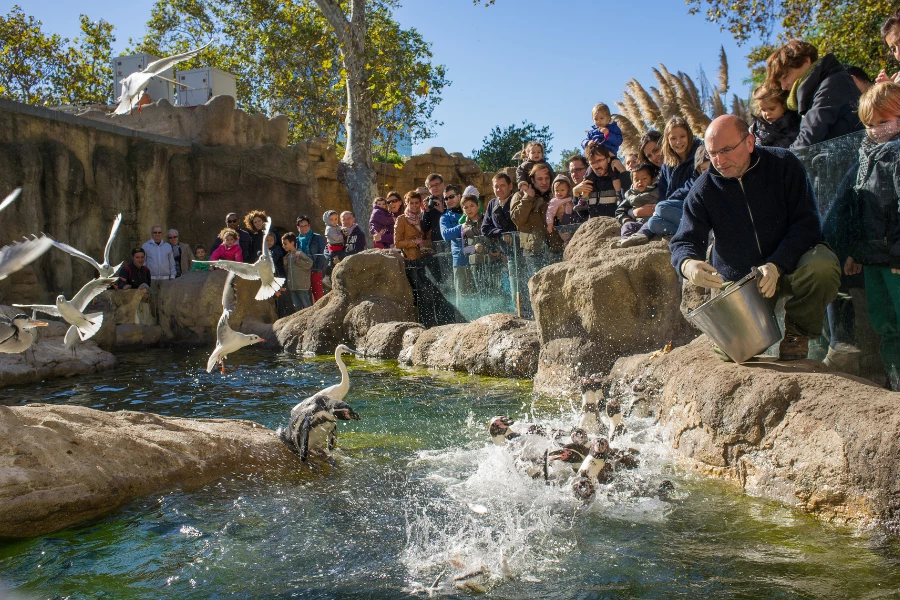 Gr&uuml;ner Zoo Wuppertal: Erfahrungsbericht, Highlights & Kaufberatung