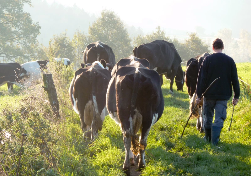 Hof zur Hellen – Biohof im Test: Ehrliches Demeter-Erlebnis