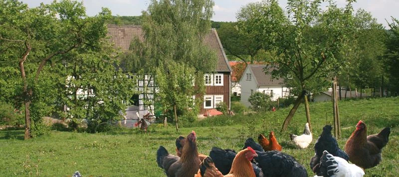 Hof zur Hellen – Biohof im Test: Ehrliches Demeter-Erlebnis