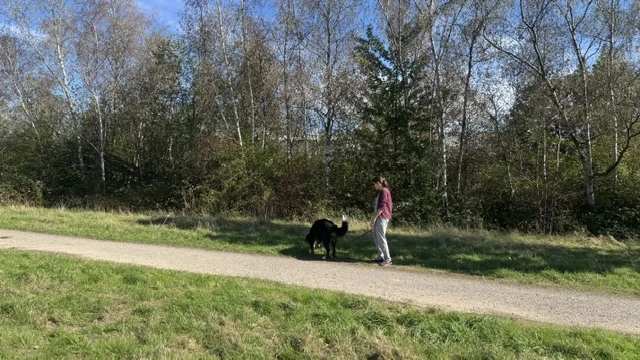 Hundewiese in Hattingen: Freilauf an der Ruhr