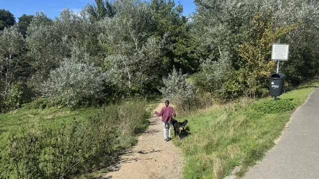 Hundewiese in Hattingen: Freilauf an der Ruhr