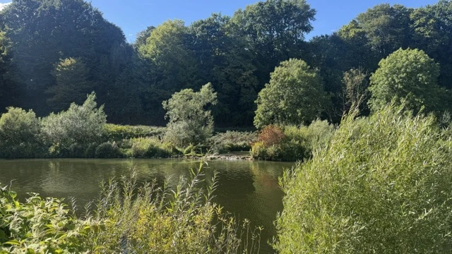 Hotel zur Traube Velbert: Tradition mit Herz