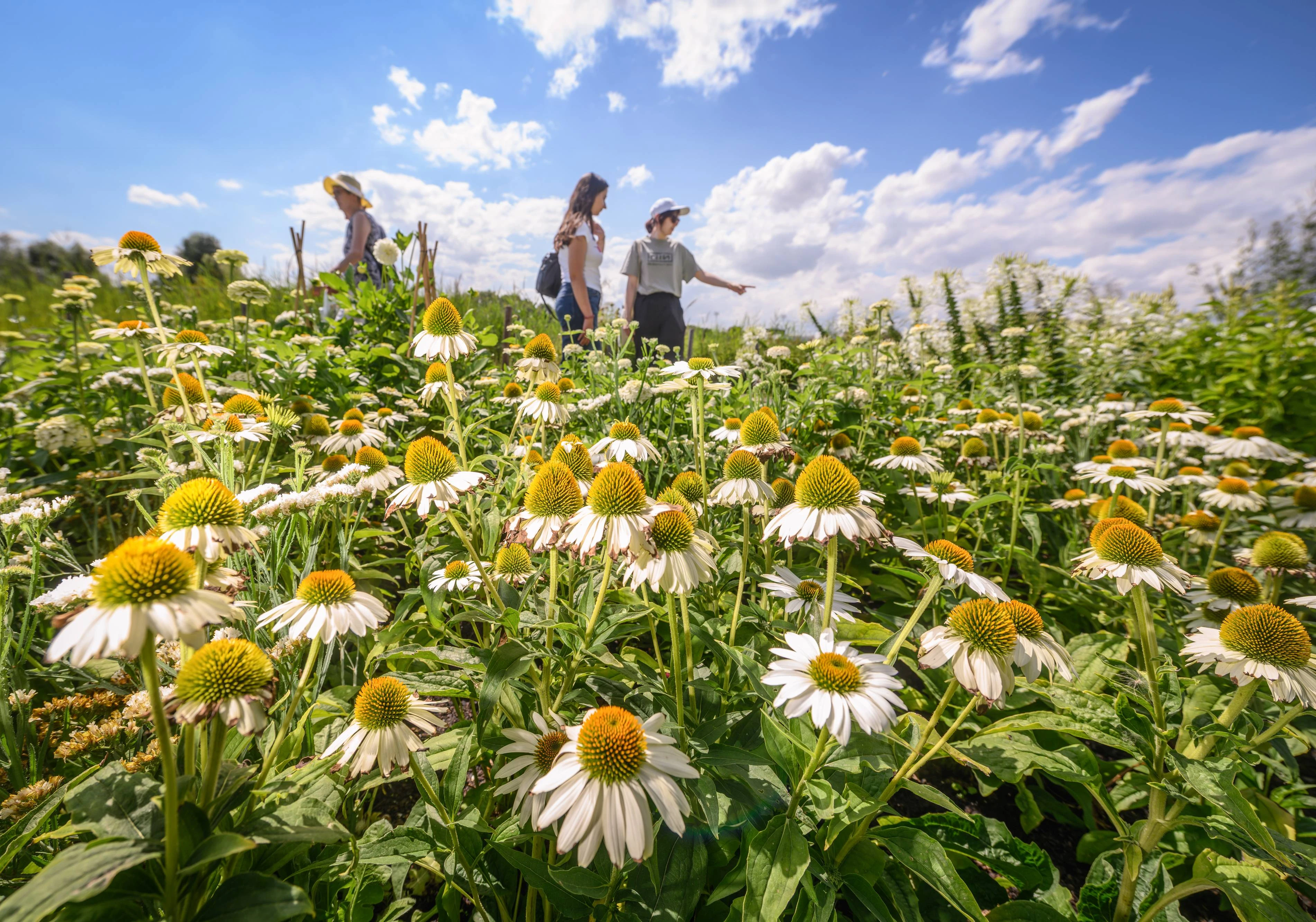 Landesgartenschau Neuss: Das große Finale 2026