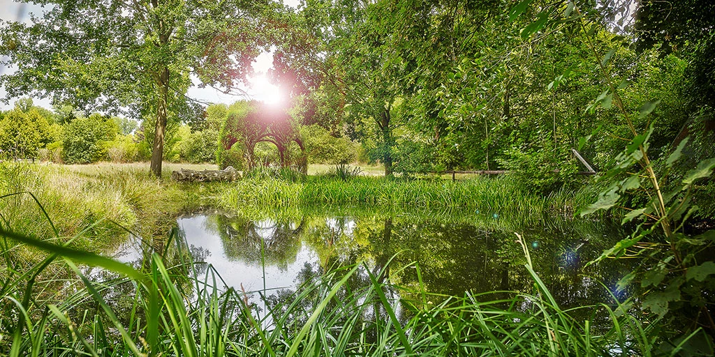 Linslerhof: Idylle erleben auf dem historischen Gut – Hotel, Restaurant & Events im Saarland