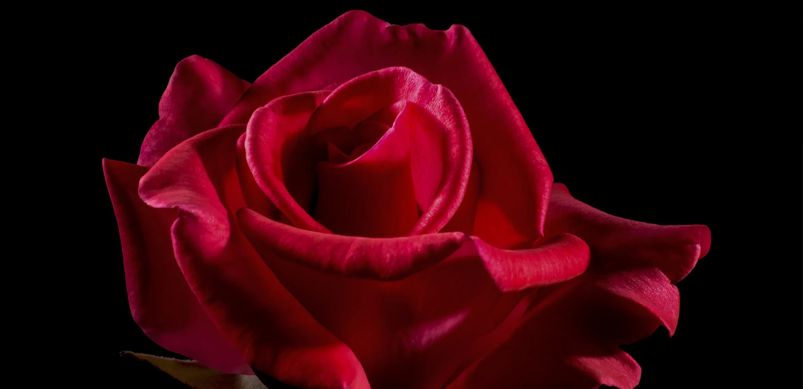 Die neue Musical Dinnershow: Genuss, Emotionen und Nostalgie erleben