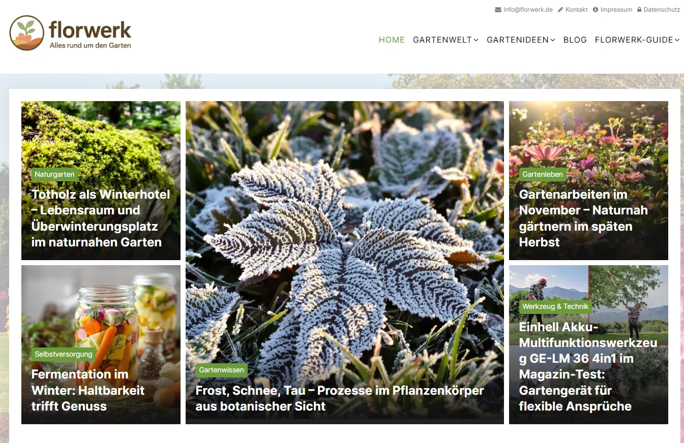 Die Evolution Magazinwelten – Das digitale Universum für Zukunft, Leben, Genuss und Identität