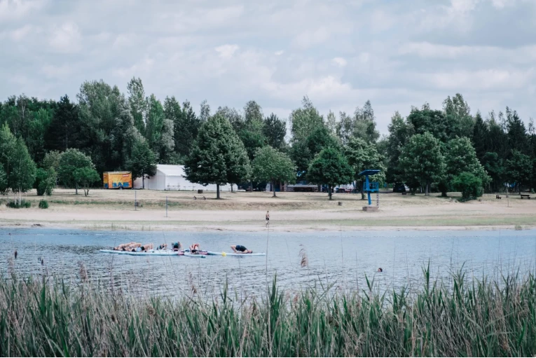 Cat & Cow Festival 2026 am Mondsee: Yoga, Musik, Healing & Community erleben