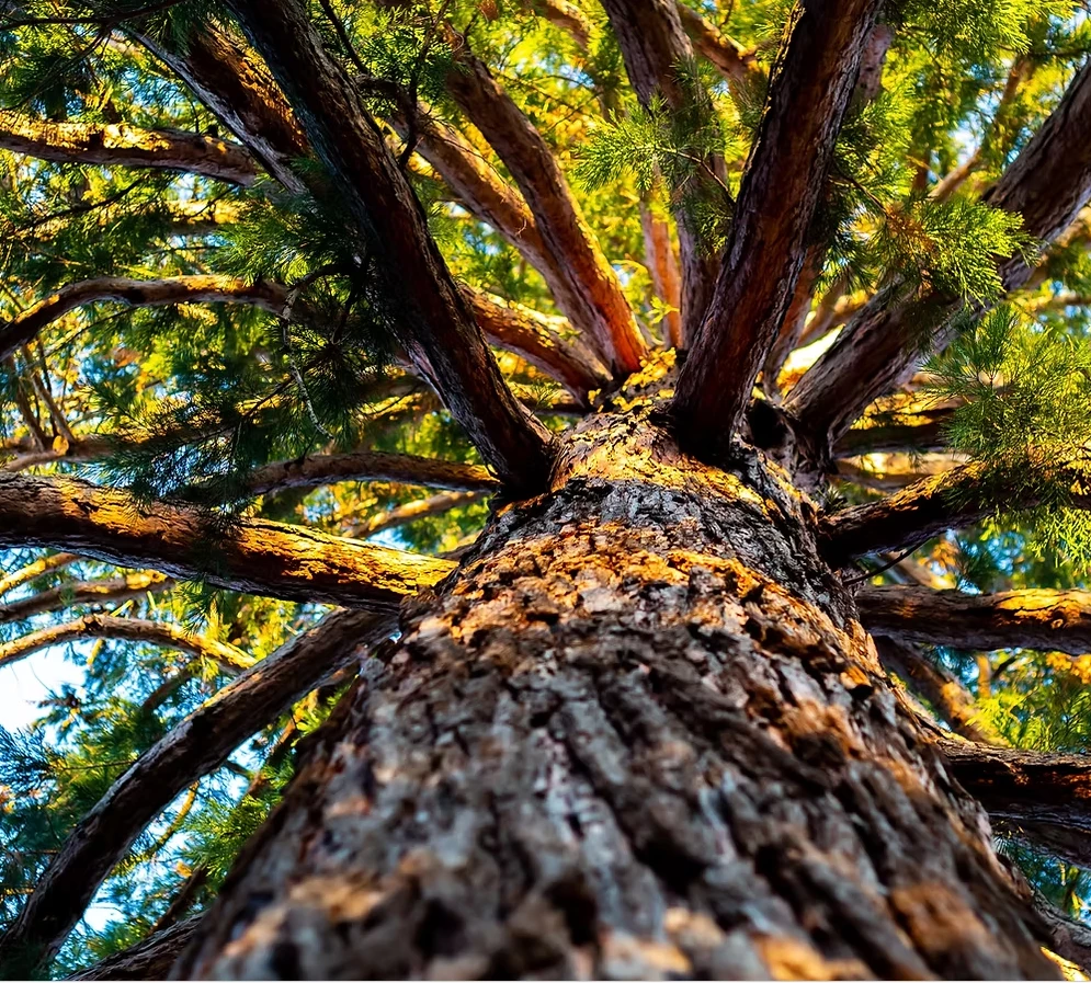 Selbsterkenntnis in Velbert: Mühelos ankommen statt endlos optimieren