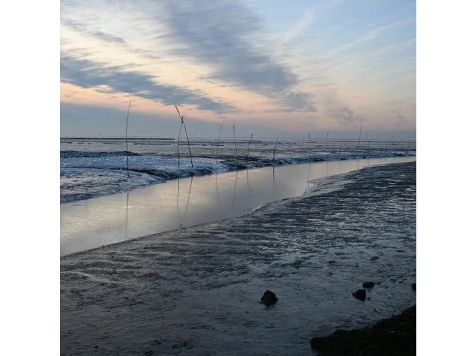 Watt im Winter Tour Esens: Unvergessliches Winterwattwandern erleben