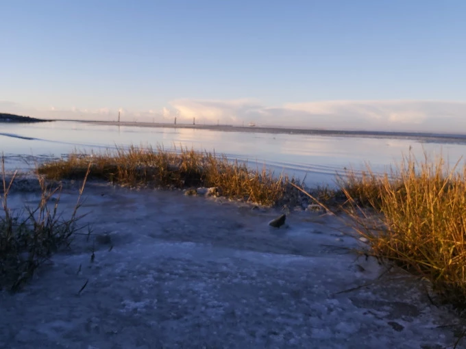 Watt im Winter Tour Esens: Unvergessliches Winterwattwandern erleben