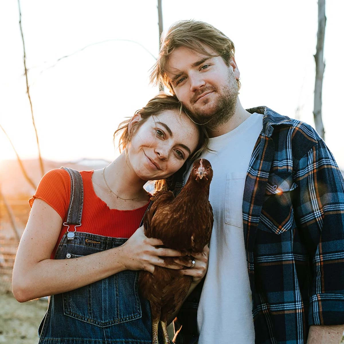 Wo die Ernährungswende global steht: Einblicke aus internationalen Veganuary-Zentralen