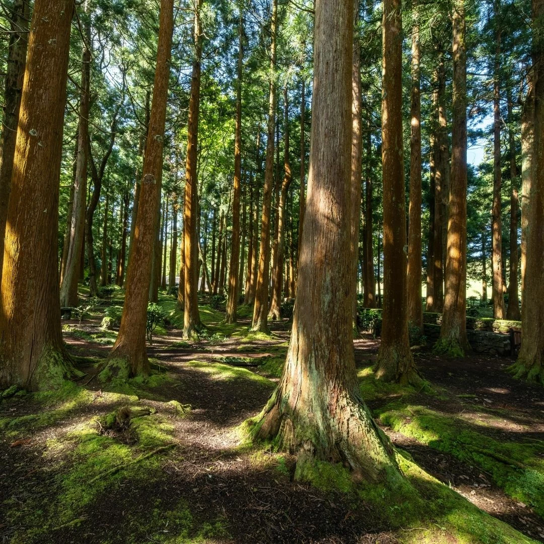 Wald, See, Berge: Die besten Reiseziele für echte Erholung