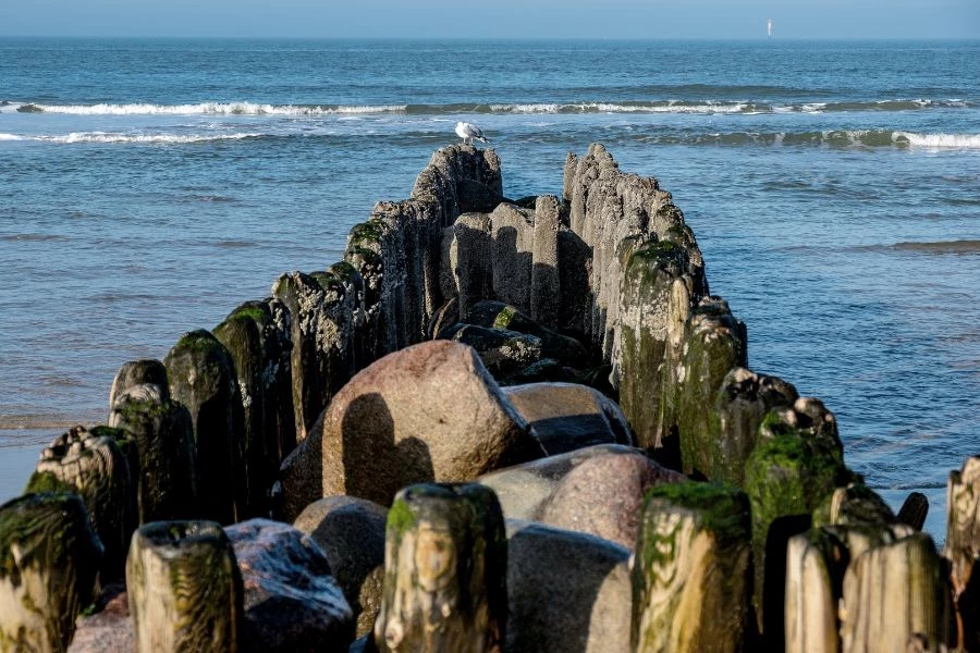 Norddeich Ferienwohnungen & -h&auml;user: Familienurlaub an der Nordsee