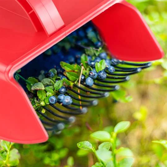 Von der Ernte ins Glas – Früchte effizient verarbeiten mit Küchenhelfern von Westmark