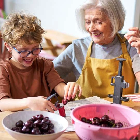 Von der Ernte ins Glas – Früchte effizient verarbeiten mit Küchenhelfern von Westmark