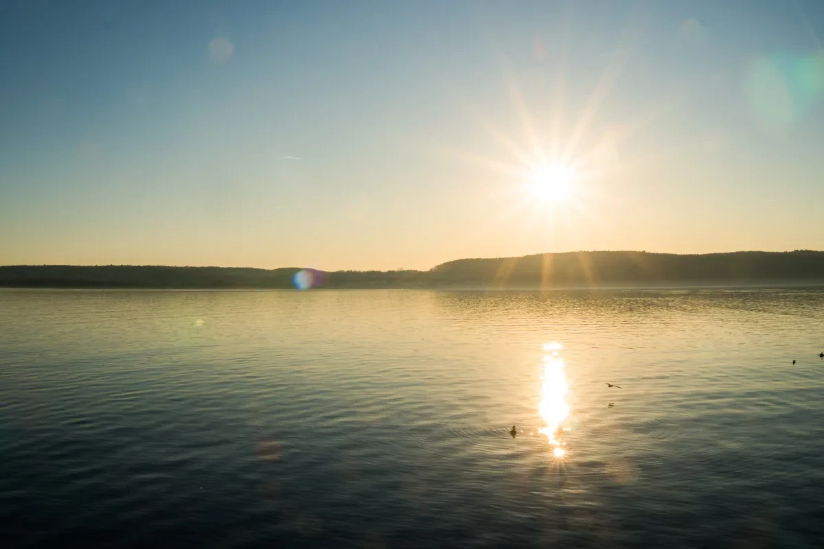 Yogafestival Bodensee 2026: Yoga, Konzerte, Community & Seeblick