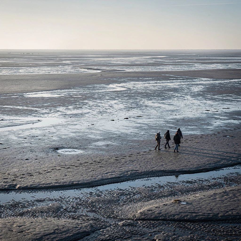 Watt im Winter Tour Esens: Wattwandern als emotionales Naturerlebnis