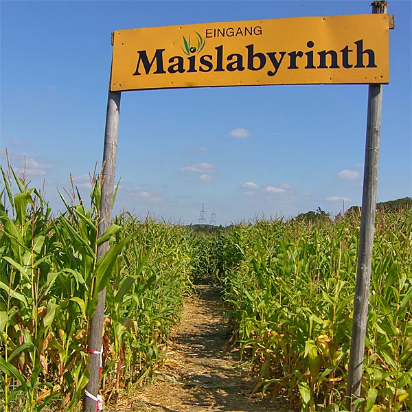 Bergerhof Hattingen: Landwirtschaft & Freizeit im Bergischen Land erleben