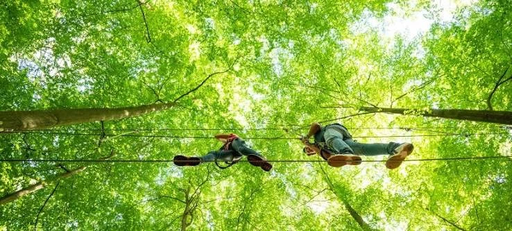Die besten Kletterparks im Bergischen Land – Erlebnis, Preise & Tipps