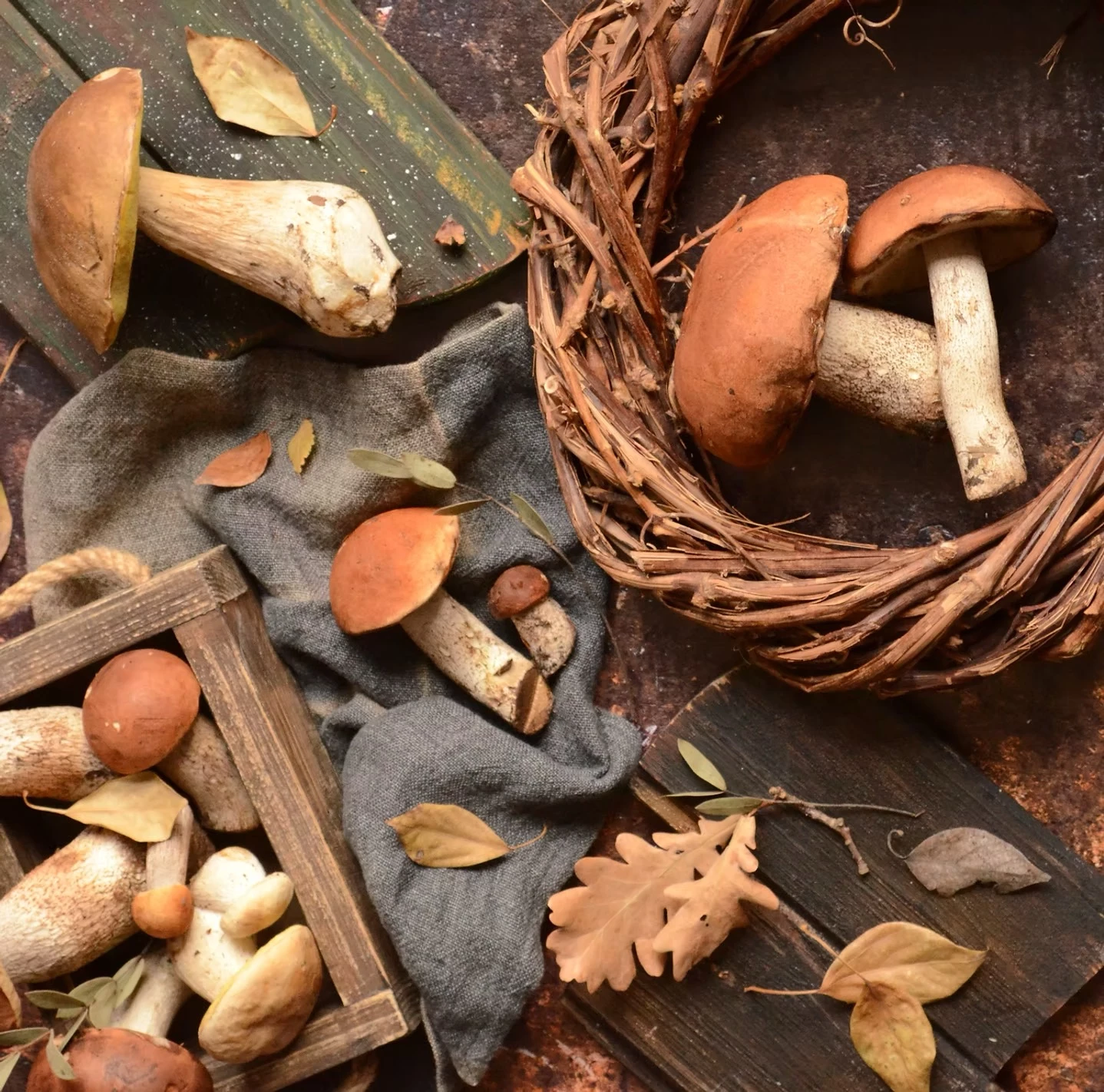 Pilzexkursionen und Kräuterwanderungen im Bergischen Land