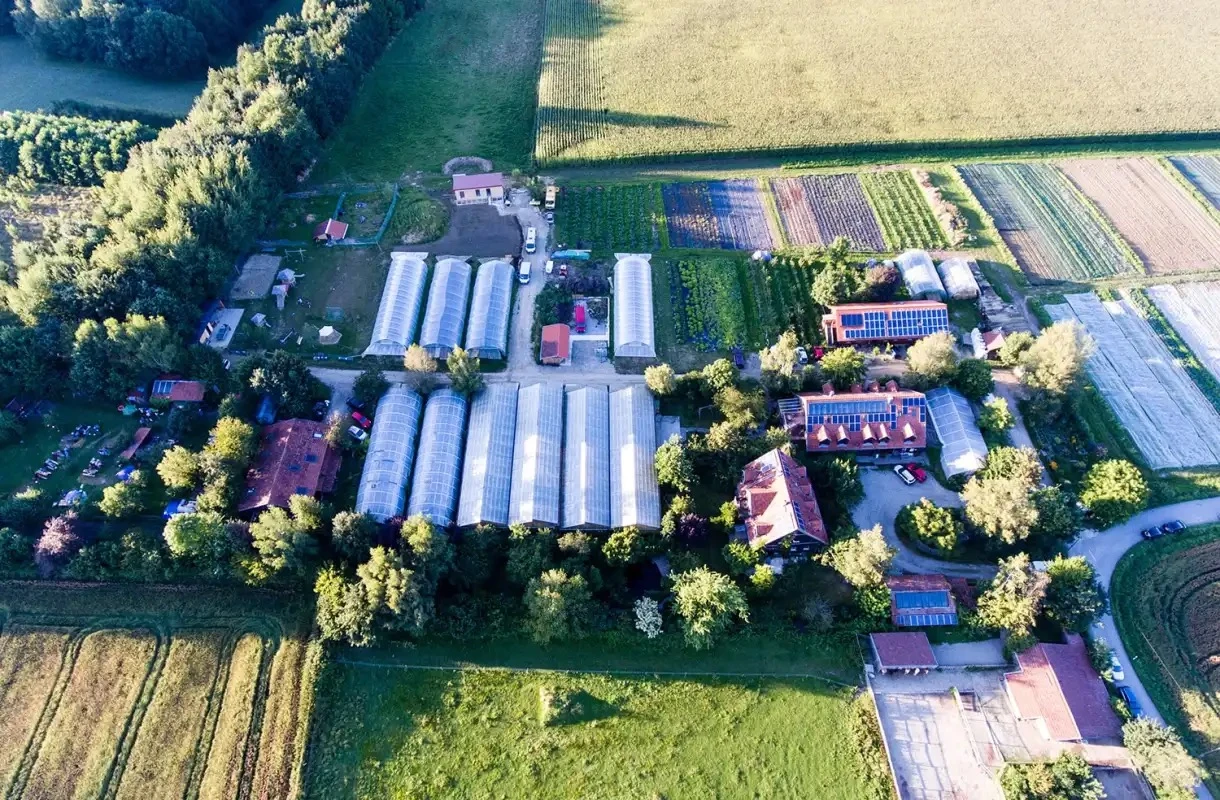 Kürbishöfe im Bergischen Land: Herbst-Favoriten