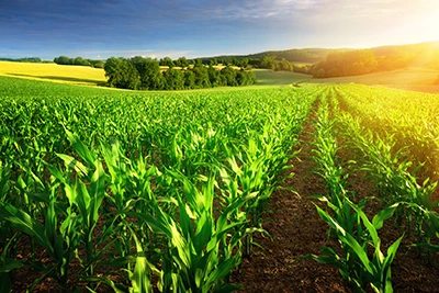 Bergerhof Wermelskirchen: Landwirtschaft & Freizeitgenuss im Bergischen Land