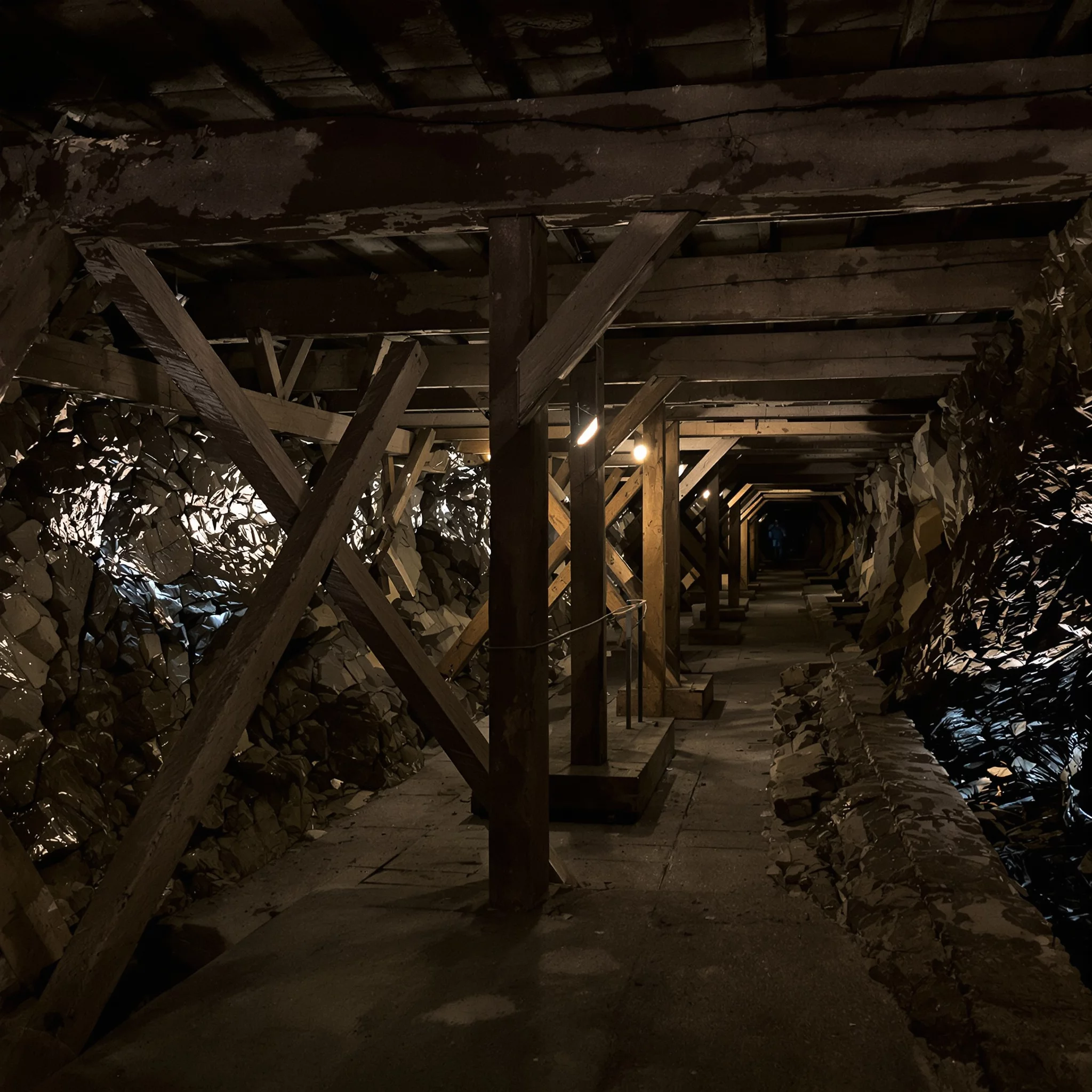 Moorpfade im Oberharz: Abenteuerliche Routen durch mystische Landschaften