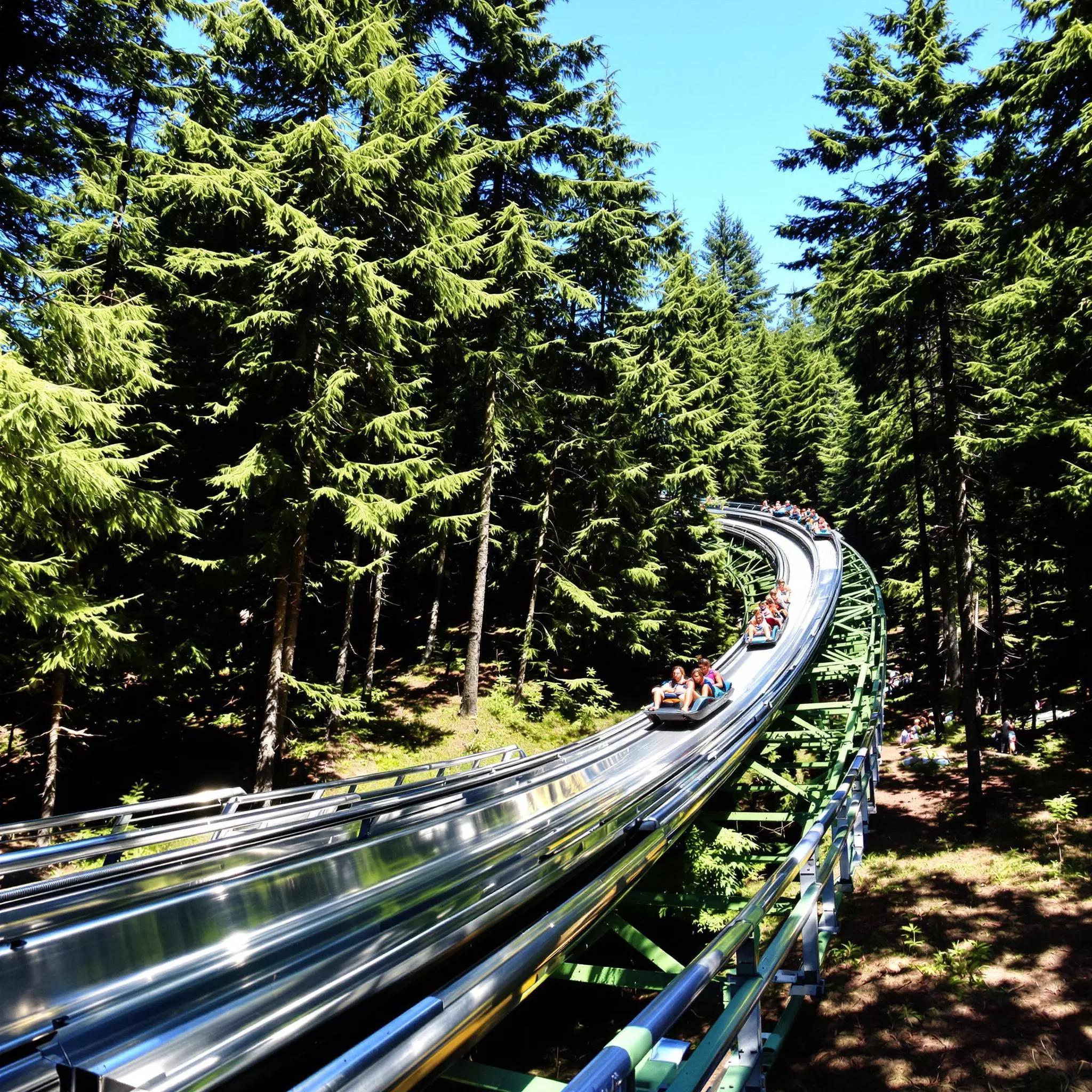 Sommerrodelbahn in Sankt Andreasberg: Geschwindigkeit und Spaß im Harz